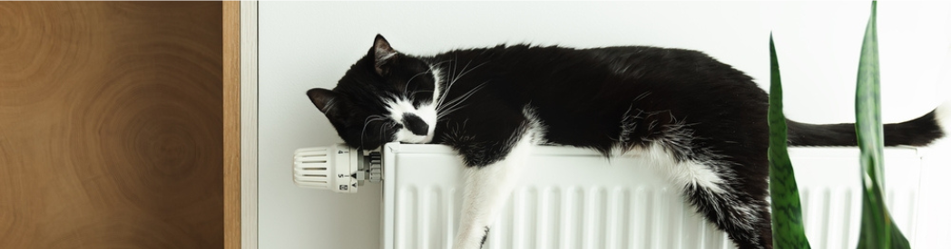 Are Aluminium Radiators Better Than Steel?
