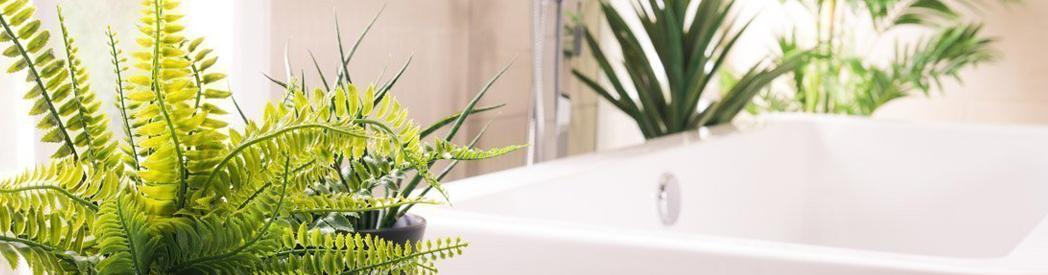 A Guide To The Best Plants For Bathrooms