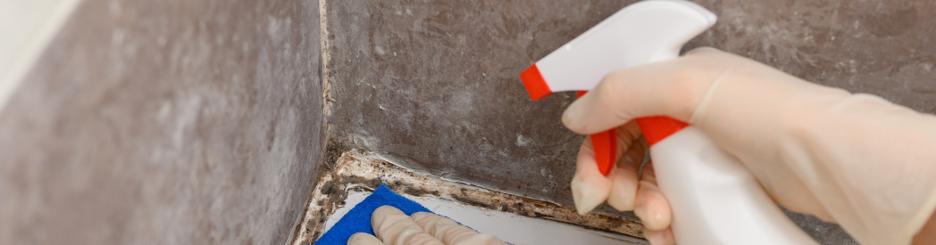 How To Get Rid Of Mould In Bathroom
