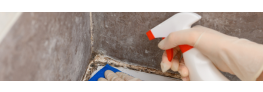 How To Get Rid Of Mould In Bathroom