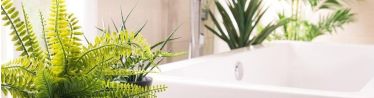 A Guide To The Best Plants For Bathrooms