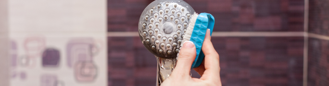 Shower Head Cleaning With Brush