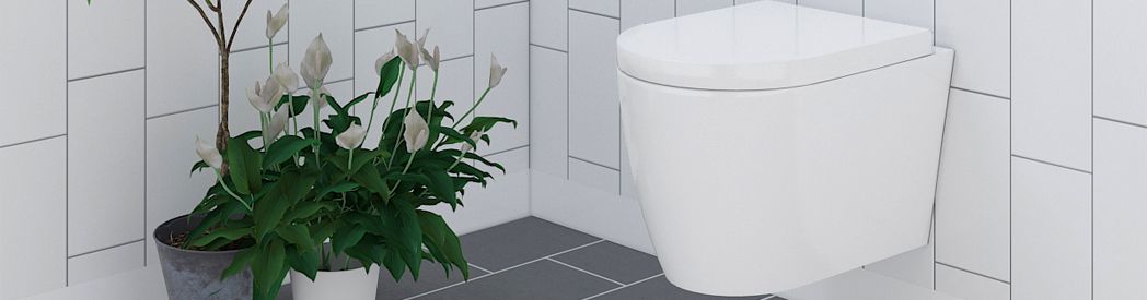 Wall Hung Toilet Benefits 