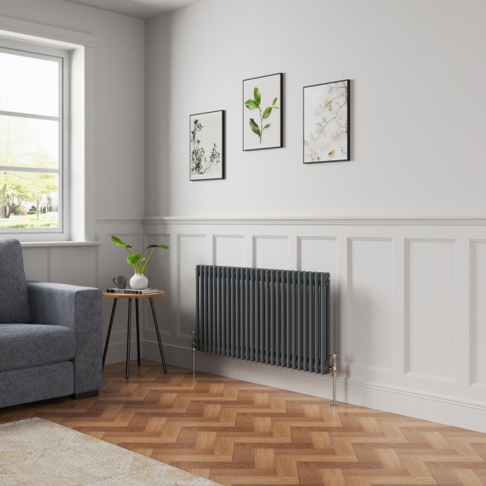 Bern 600 x 1190mm Anthracite Double Column Horizontal Traditional