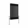 Bern 600 x 425mm Black Double Column Horizontal Traditional Radiator