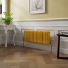 Bern 300 x 830mm Zinc Yellow Double Column Horizontal Traditional Radiator