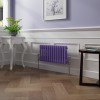 Bern 300 x 605mm Elegant Purple Double Column Horizontal Traditional Radiator