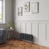 Bern 300 x 830mm Anthracite Four Column Horizontal Traditional Radiator