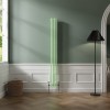 Bern 1800 x 200mm Pastel Green Double Vertical Column Radiator