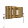 Bern 300 x 605mm Metallic Gold Double Horizontal Column Radiator