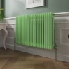 Bern 600 x 1010mm Pastel Green Double Horizontal Column Radiator