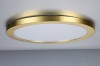 TAURI MAG RING FOR 24W PANEL SHINY BRASS