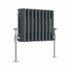 Bern - Anthracite Traditional Horizontal Triple Column Radiator - Choice of Size