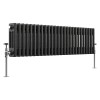 Bern 300 x 1190mm Black Silver Triple Column Horizontal Traditional Radiator