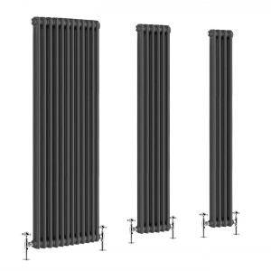 Bern - Anthracite Traditional Vertical Double Column Radiator - Choice of Size