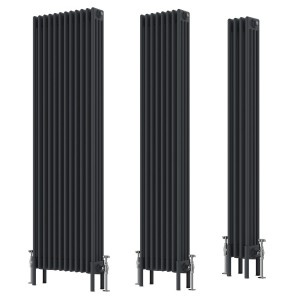 Bern - Traditional Anthracite Vertical Four Column Radiator - Choice of Size