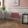 Bern 300 x 605mm Rose Pink Double Column Horizontal Traditional Radiator