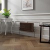 Bern 300 x 605mm Black Copper Double Column Horizontal Traditional Radiator