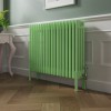 Bern 600 x 830mm Traditional Pastel Green Horizontal Four Column Radiator