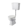 Wellington Traditional Comfort Height Low Level Toilet with Flush Pipe Kit and Sand Soft Close Seat