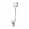 Wellington Traditional Comfort Height High Level Toilet with Flush Pipe Kit and Sand Soft Close Seat