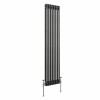 Bern 1500 x 380mm Black Silver Double Vertical Column Radiator