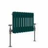 Bern 300 x 425mm Blue Green Double Horizontal Column Radiator