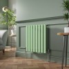 Lulea 600 x 550mm Pastel Green Single Flat Panel Horizontal Designer Radiator