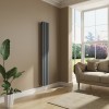 Lulea 1800 x 270mm Anthracite Single Vertical Flat Panel Radiator
