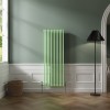 Bern 1500 x 560mm Pastel Green Double Vertical Column Radiator