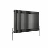Bern 600 x 1010mm Black Silver Double Column Horizontal Traditional Radiator