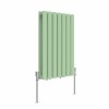 Norden 600 x 414mm Pastel Green Double Oval Column Horizontal Designer Radiator