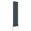 Bern 1500 x 380mm Anthracite Triple Column Vertical Traditional Radiator