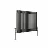 Bern 600 x 830mm Black Silver Double Column Horizontal Traditional Radiator