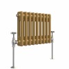 Bern 300 x 425mm Metallic Gold Double Horizontal Column Radiator