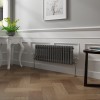 Bern 300 x 830mm Black Silver Double Column Horizontal Traditional Radiator