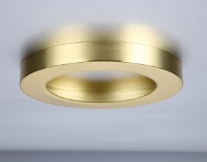 TAURI MAGNETIC RING FOR 6W PANEL SHINY BRASS