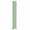 Lulea 1800 x 270mm Pastel Green Double Flat Panel Vertical Designer Radiator