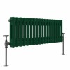 Bern 300 x 830mm Moss Green Double Horizontal Column Radiator