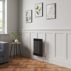 Bern 600 x 425mm Black Double Column Horizontal Traditional Radiator