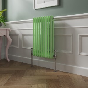 Bern 600 x 425mm Pastel Green Double Horizontal Column Radiator