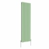 Norden 1600 x 473mm Pastel Green Double Oval Column Vertical Designer Radiator