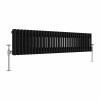 Bern 300 x 1460mm Black Double Column Horizontal Traditional Radiator