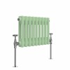 Bern 300 x 425mm Pastel Green Double Horizontal Column Radiator