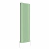 Karlstad 1800 x 546mm Pastel Green Double Flat Panel Vertical Designer Radiator