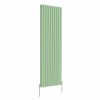 Norden 1800 x 591mm Pastel Green Double Oval Column Vertical Designer Radiator