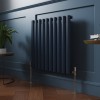 Norden 600 x 591mm Sapphire Blue Single Horizontal Oval Column Designer Radiator