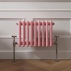 Bern 300 x 425mm Rose Pink Double Column Horizontal Traditional Radiator