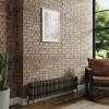 Bern 300 x 1460mm Raw Metal Four Column Horizontal Traditional Radiator