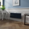 Bern 300 x 830mm Sapphire Blue Double Column Horizontal Traditional Radiator